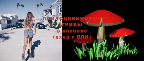 эйфоретик Белокуриха