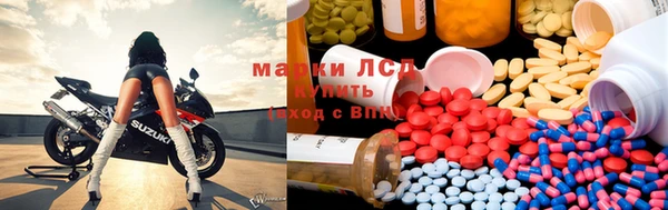 эйфоретик Белокуриха