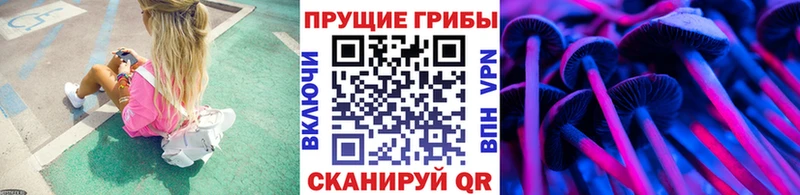 Галлюциногенные грибы Magic Shrooms  omg ссылки  Плёс  даркнет сайт 
